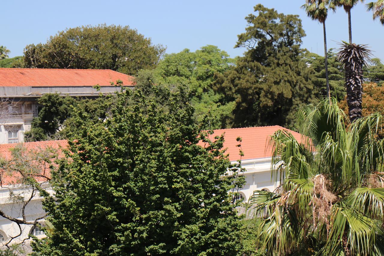 Botanic Views Guest House Lissabon Buitenkant foto